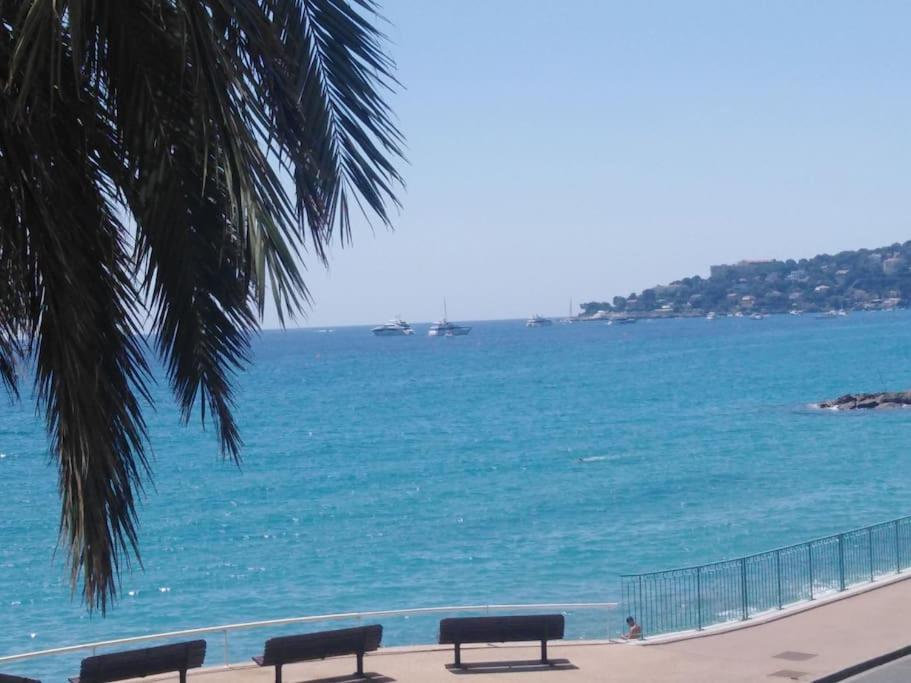 Bluemarine, Vista Mare Menton